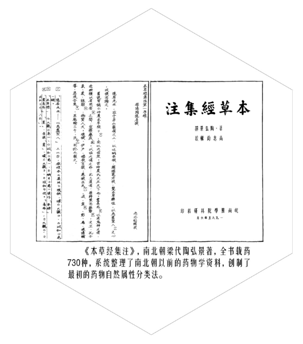 《本草经集注》简介